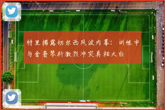特里揭露切尔西风波内幕：训练中与舍普琴科激烈冲突真相大白
