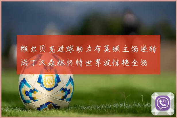 维尔贝克进球助力布莱顿主场逆转诺丁汉森林怀特世界波惊艳全场