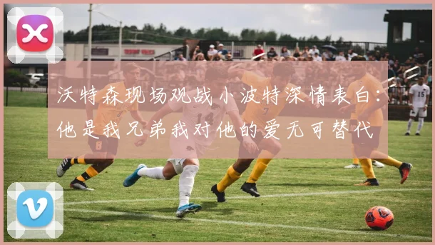 沃特森现场观战小波特深情表白：他是我兄弟我对他的爱无可替代