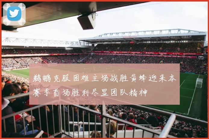 鹈鹕克服困难主场战胜黄蜂迎来本赛季首场胜利尽显团队精神